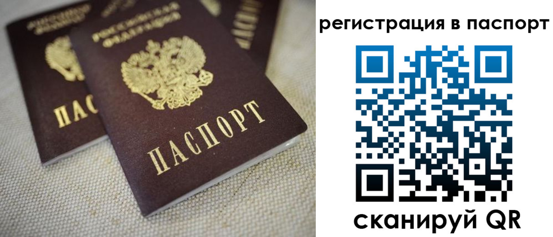 прописка гарантия в Кинеле
